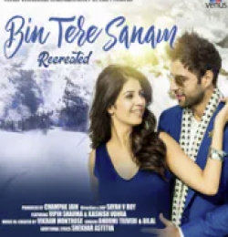 Bin Tere Sanam Mar Mitenge Hum