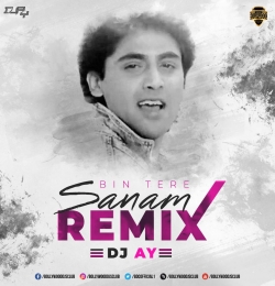 Bin Tere Sanam Mar Mitenge Hum Old Dj Remix