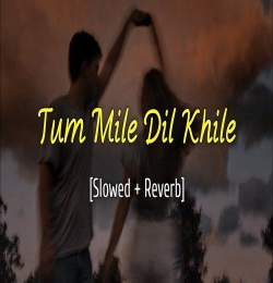 Tum Mile Dil Khile (Slowed Reverb) Lofi Mix