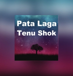 Pata Laga Tenu Shok Phulan Da