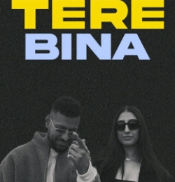 Tere Bina