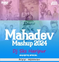 The Mahadev Mashup 2024